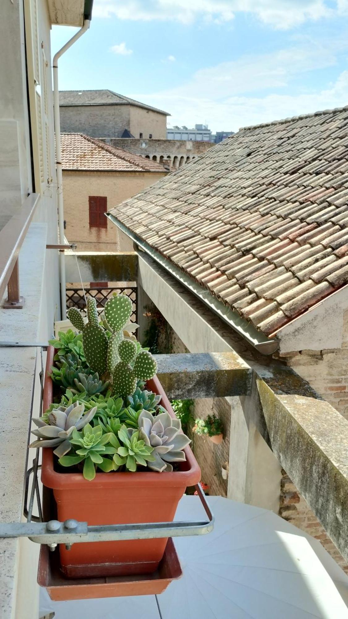 Palazzo Cavalletti - Appartamenti Nel Cuore Di Senigallia Extérieur photo